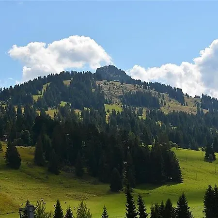 Saanenmoser Sleeps 6 Wifi